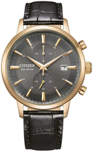 Citizen Vintage