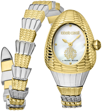 Roberto Cavalli by Franck Muller Rc-149